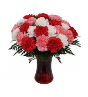 24 Mixed Carnations with Free Vase