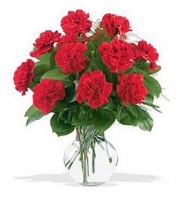 12 Red Carnations with Free Vase
