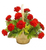 12 Red Carnations in Basket