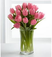 15 Pink Tulips Send To Philippines