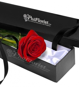 Send Single Red Rose in Box to Philippines