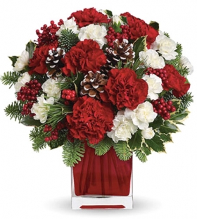 24 White and Red Carnations with Greenery
